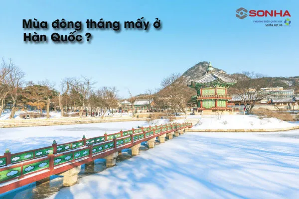 Mùa đông bắt đầu từ tháng mấy ở Hàn Quốc?