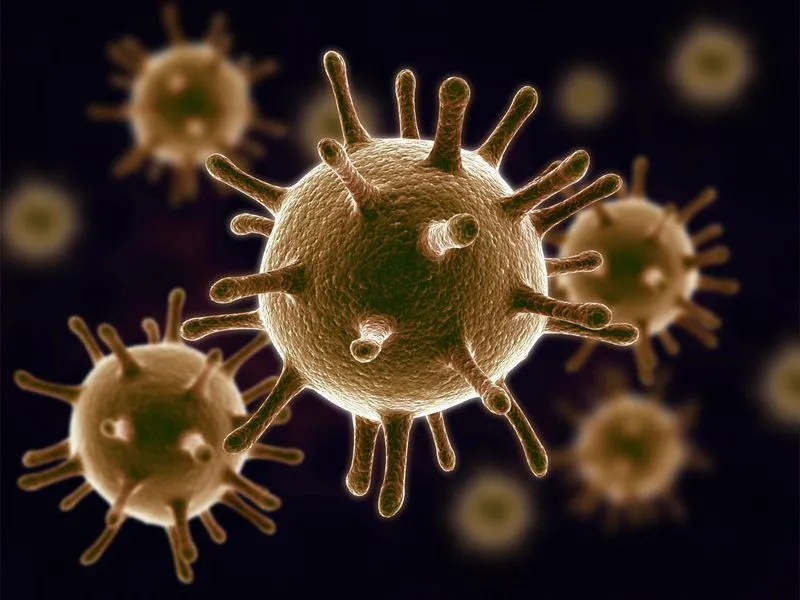 Virus là tác nhân gây sốt, khiến cơ thể mất nước và mệt mỏi