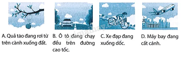 Bước 5: Đổ bóng cơ bản cho kiểu tóc húi cua