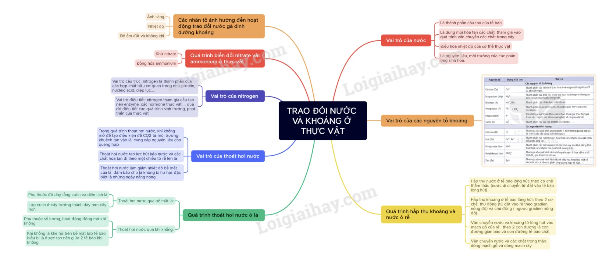 Các yếu tố môi trường ảnh hưởng đến trao đổi nước và khoáng ở thực vật
