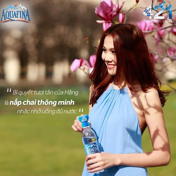 Bộ sưu tập các chai nước tinh khiết Aquafina với nhiều dung tích