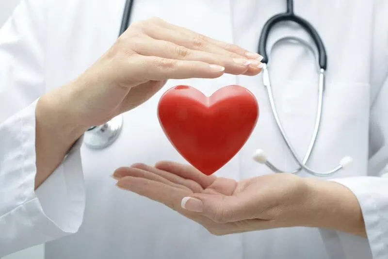 Nước ép dứa giúp bảo vệ sức khỏe tim mạch và hệ tuần hoàn