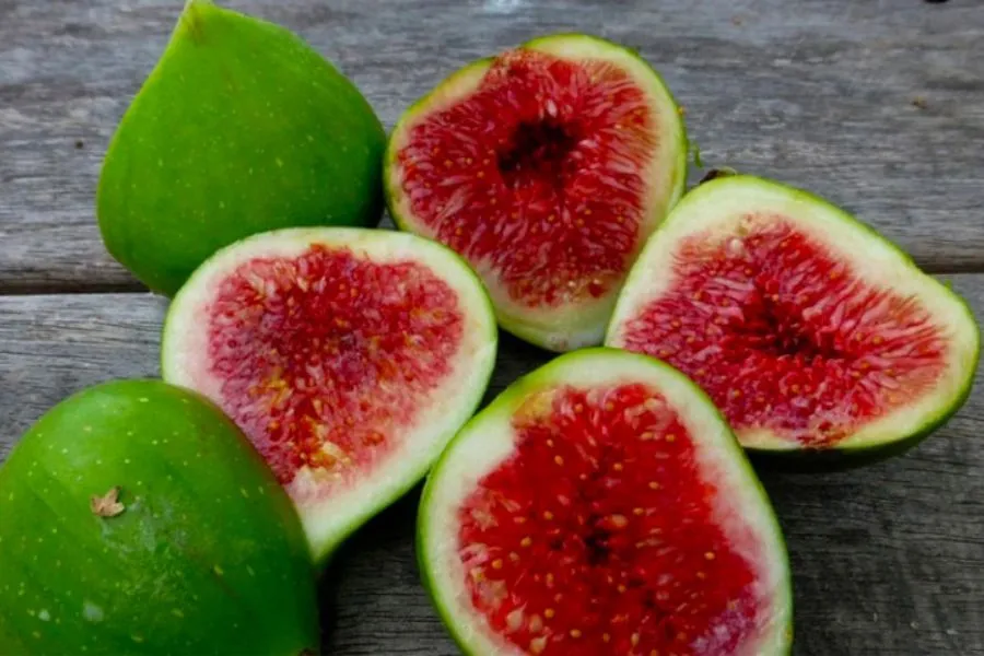Sung tươi và sung khô - nguồn dinh dưỡng đa dạng hỗ trợ tiêu hóa
