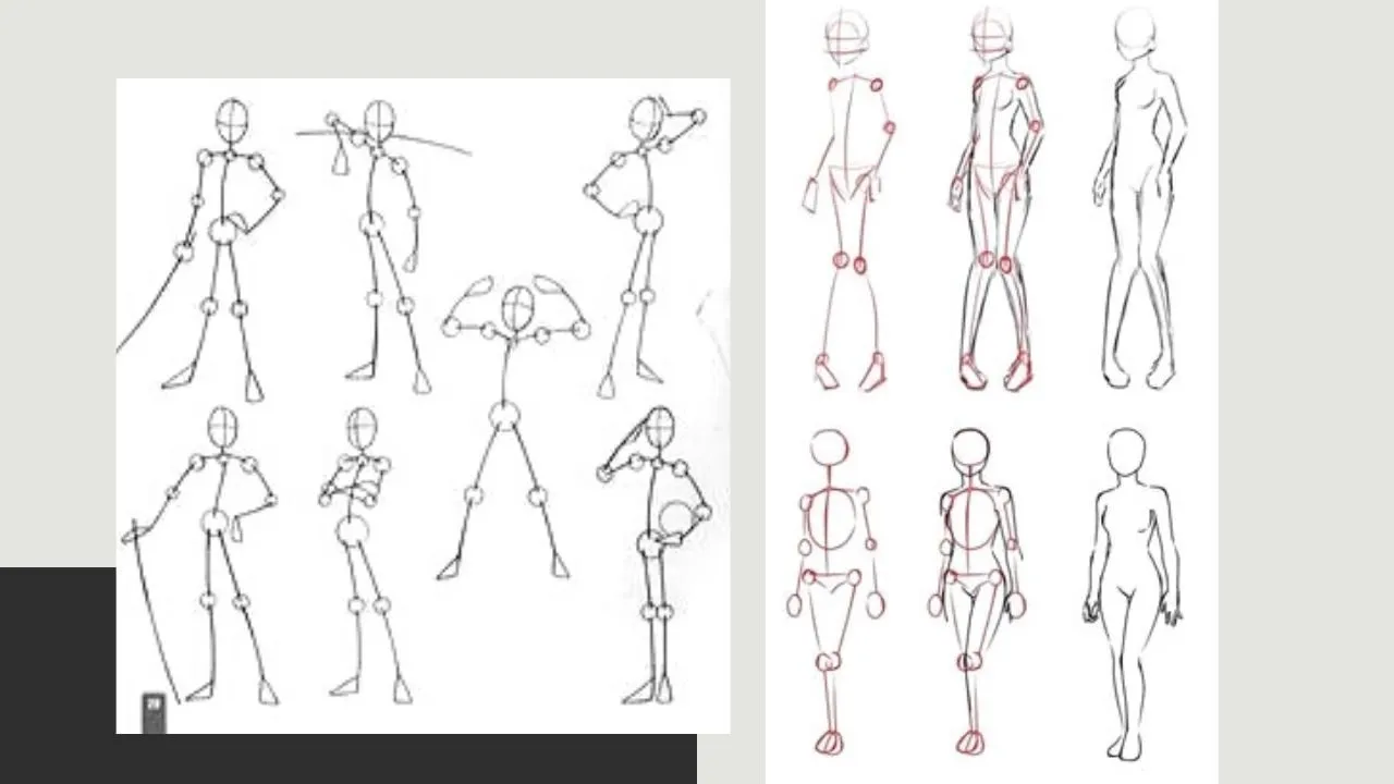 Minh họa phương pháp vẽ cơ thể anime bằng kỹ thuật dây nút