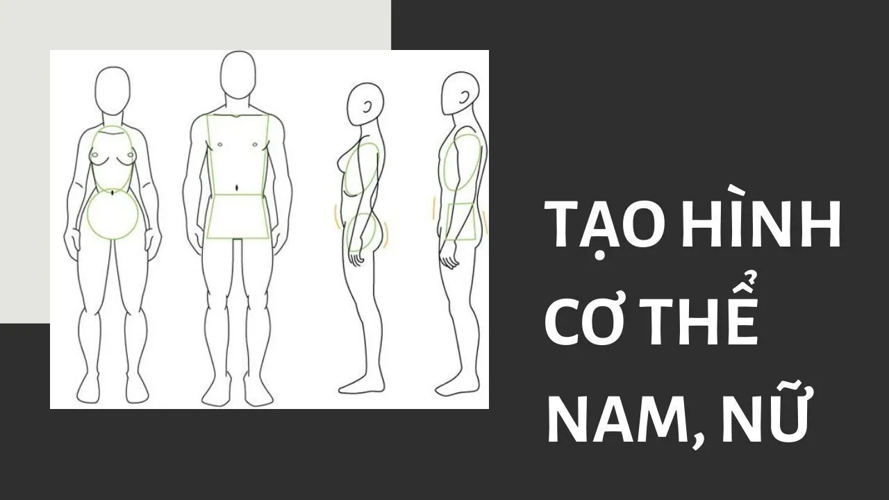 Hướng dẫn tạo dáng cơ thể anime nam và nữ với các hình khối cơ bản