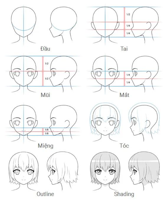 Phác thảo đầu và khuôn mặt nhân vật nữ anime