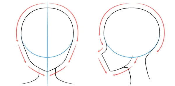 Minh họa hình dạng cơ bản của phần đầu nhân vật nữ anime từ nhiều góc nhìn