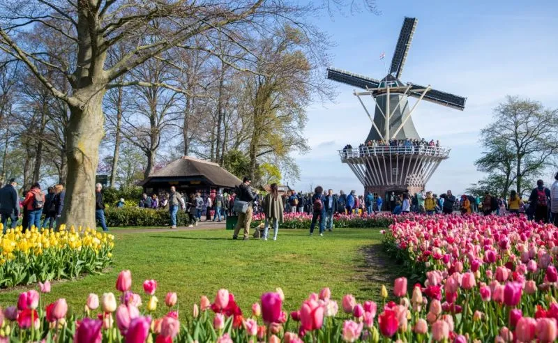 Ngôi làng Zaanse Schans với những cối xay gió truyền thống nổi bật bên sông Zaanse