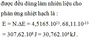 Biểu đồ minh họa quá trình hấp thụ và cân bằng khoáng chất trong cơ thể
