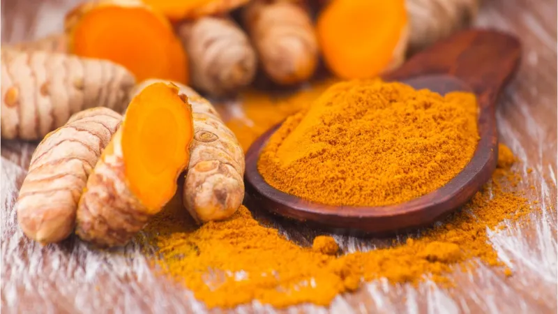 Cây nghệ với lá xanh và củ nghệ tươi dưới đất