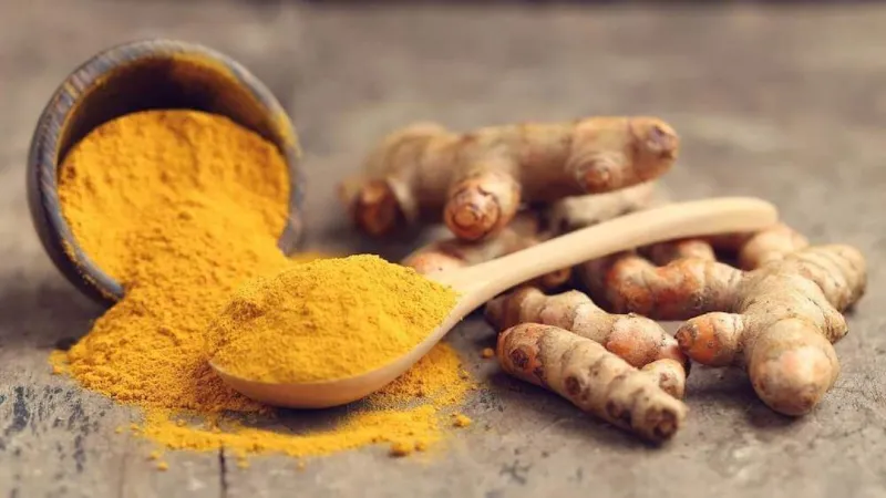 Thực vật tươi tốt với lá xanh mướt