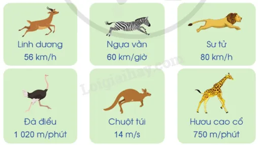 Hình ảnh các loài động vật với tốc độ di chuyển khác nhau, tượng trưng cho sự đa dạng của các hoạt động thể chất và nhu cầu năng lượng