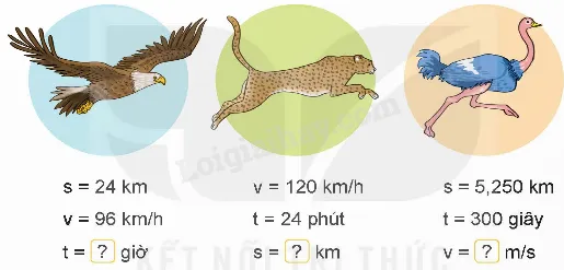 Hình ảnh một phép tính với các con số, biểu thị cho sự cân bằng và định lượng các dưỡng chất cần thiết