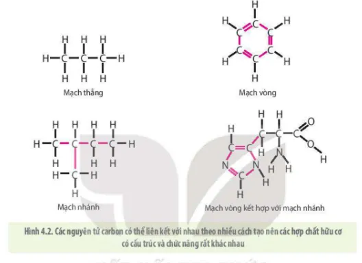 Sơ đồ cấu trúc nguyên tử Carbon với 4 electron hóa trị có khả năng tạo liên kết