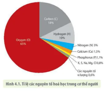 Bốn nhóm nguyên tố chính trong sinh vật sống và tỷ lệ phân bố