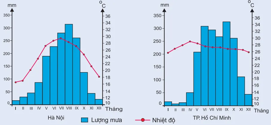 Biểu đồ nhiệt độ và lượng mưa của Hà Nội và TP.HCM