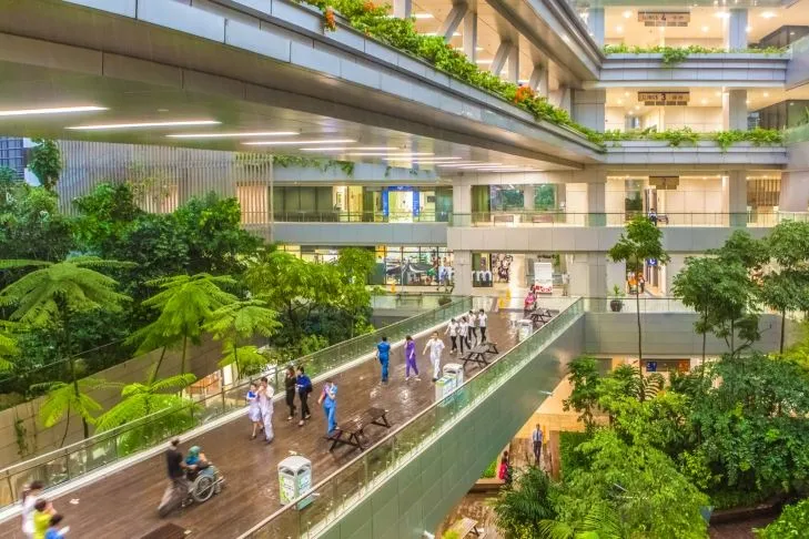 Hình ảnh bệnh viện được trồng nhiều cây xanh ở Singapore.