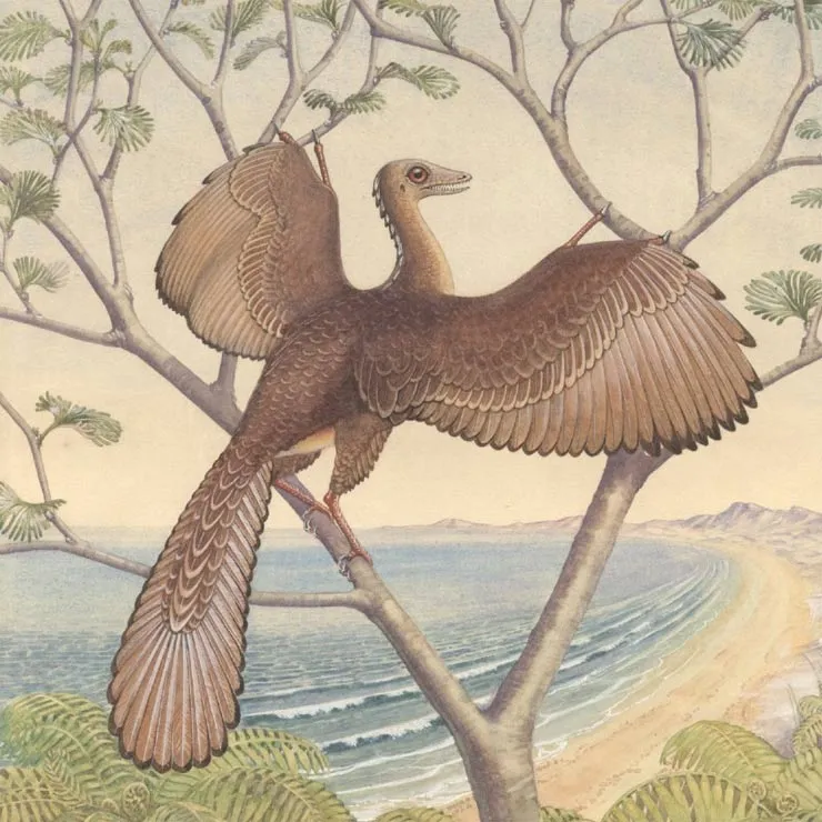 Loài chim học cách bay