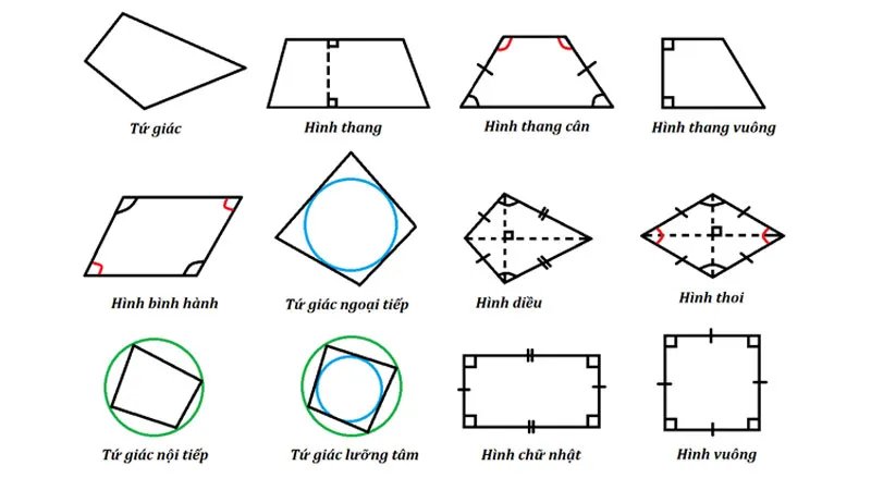 Minh họa các loại hình tứ giác đặc biệt như hình vuông, hình chữ nhật, hình bình hành