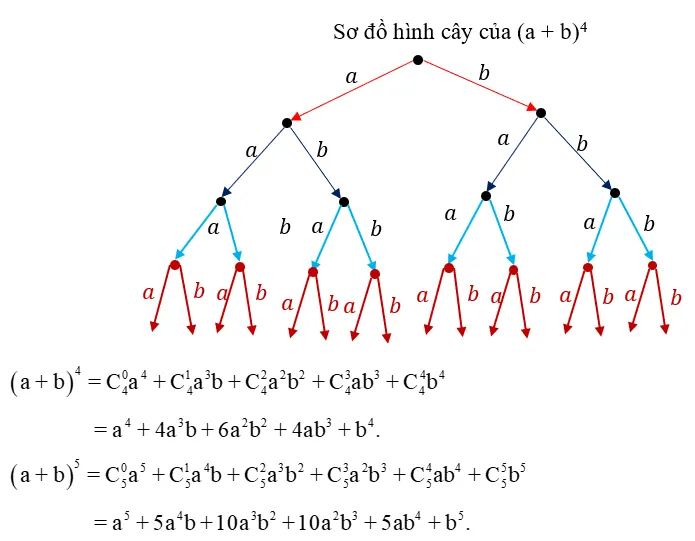 Công thức khai triển nhị thức Newton tổng quát