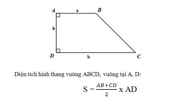 Hình ảnh minh họa một hình thang vuông với một góc vuông