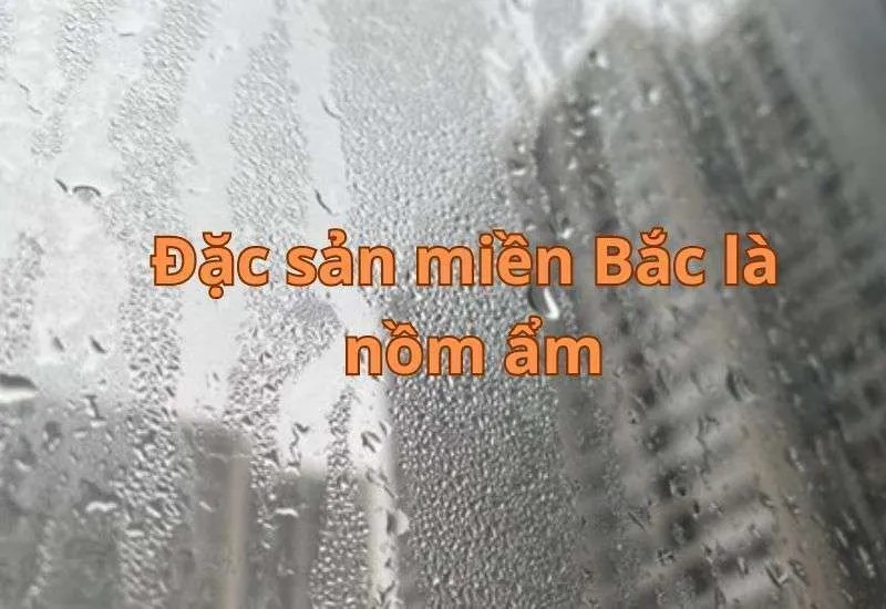 Hiện tượng nồm ẩm đặc trưng của miền Bắc