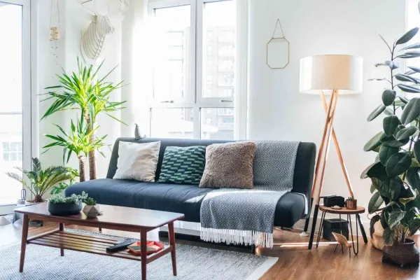 Góc phòng khách tươi xanh với cây cảnh trang trí