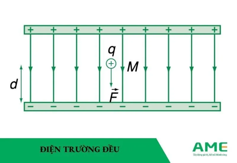 Minh họa về điện trường đều