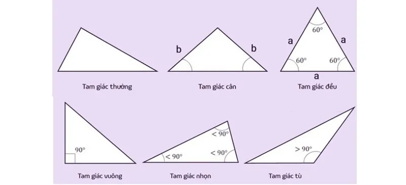 Các loại tam giác khác nhau được minh họa bằng hình ảnh