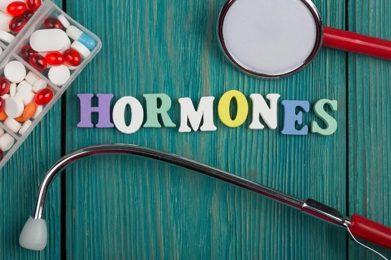 Tuyến yên và các tuyến khác sản xuất hormone quan trọng cho quá trình sinh hóa