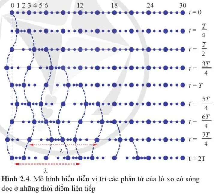 Mô tả sóng dọc với các phần tử dao động theo phương truyền sóng