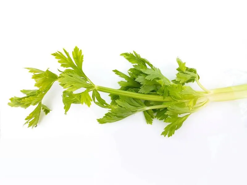 Lá rau cần giảm lượng Cholesterol