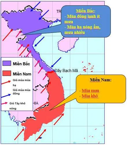 Thời tiết mùa hè ở Việt Nam với đặc trưng gió mùa và nhu cầu giải khát