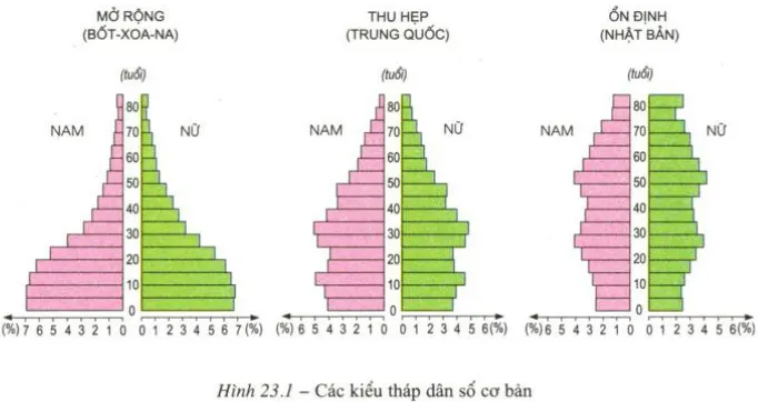 Các kiểu tháp dân số