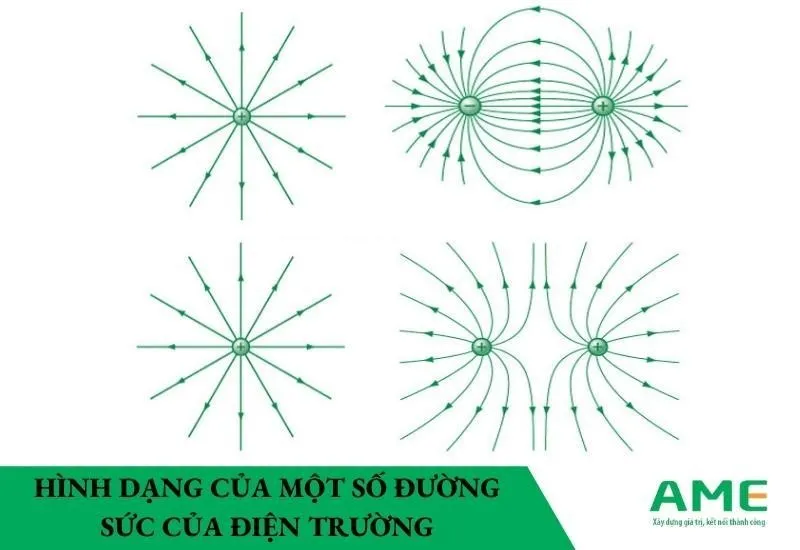 Ví dụ về hình dạng của một số đường sức điện