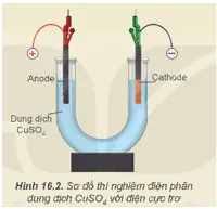 Thiết bị thí nghiệm điện phân dung dịch đồng sunfat
