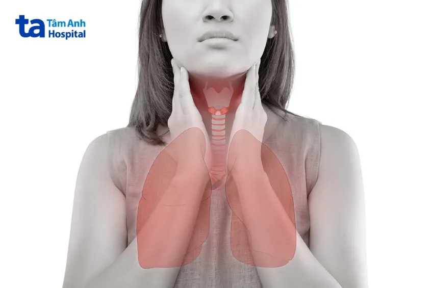 Khí quản được xem là “lối đi” rộng nhất của không khí trong hệ hô hấp