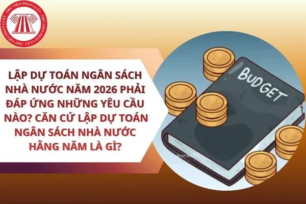 Dự toán ngân sách nhà nước phải đáp ứng các yêu cầu và căn cứ pháp lý để đảm bảo tính chính xác