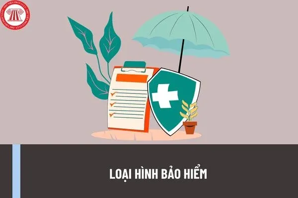 Các loại hình bảo hiểm gồm nhân thọ, sức khỏe, phi nhân thọ