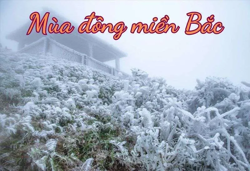 Hình ảnh băng tuyết xuất hiện tại khu vực núi cao Tây Bắc Bộ vào mùa đông