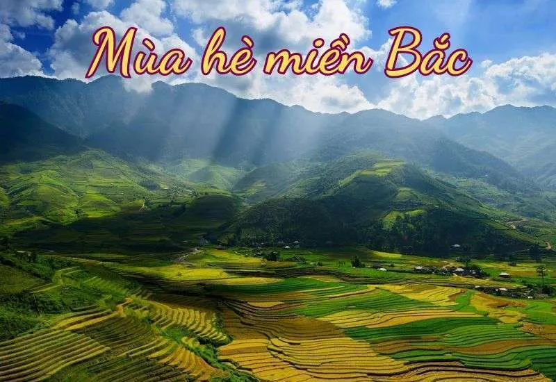 Mùa hè miền Bắc với những đợt nắng nóng gay gắt và kéo dài