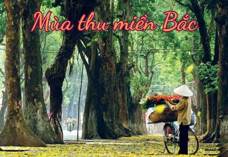 Mùa thu miền Bắc với tiết trời dễ chịu, nắng nhẹ và gió thoảng
