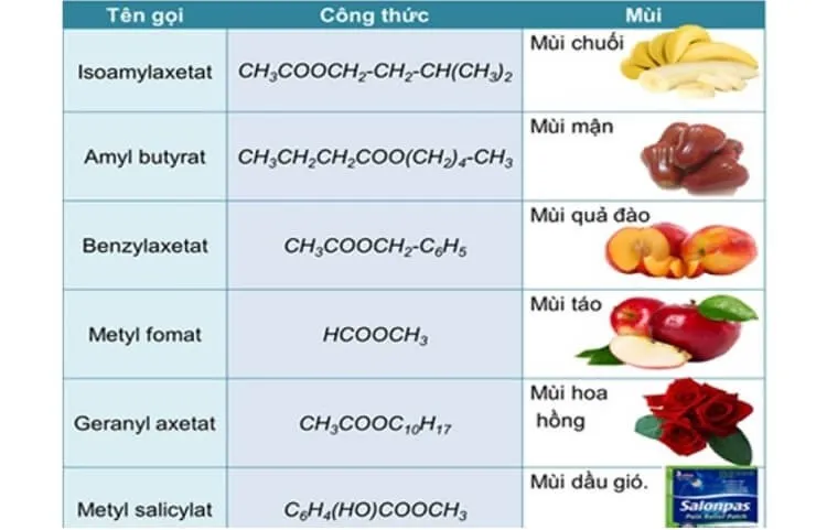 Mùi thơm của một số Este phổ biến