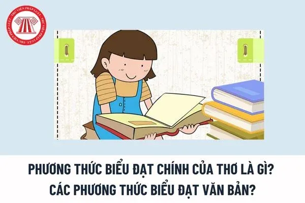 Sáu phương thức biểu đạt cơ bản trong văn bản