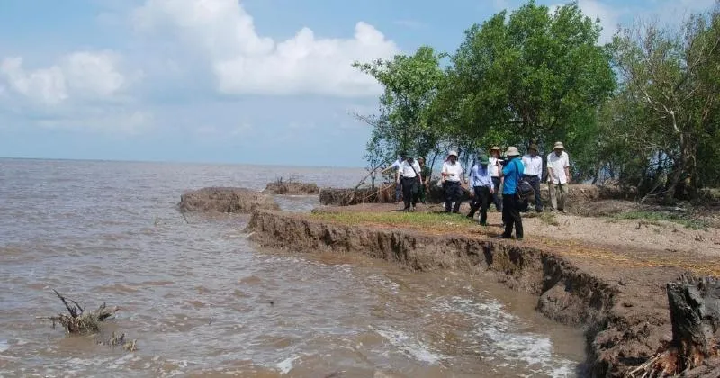 Rừng ven biển như lá chắn xanh chống chịu thiên tai
