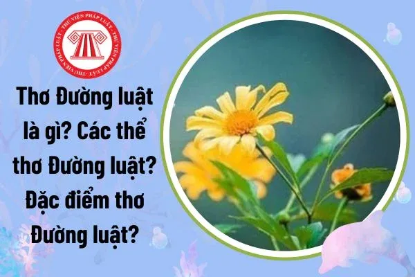 Hình ảnh minh họa thơ Đường luật và các quy tắc đặc trưng