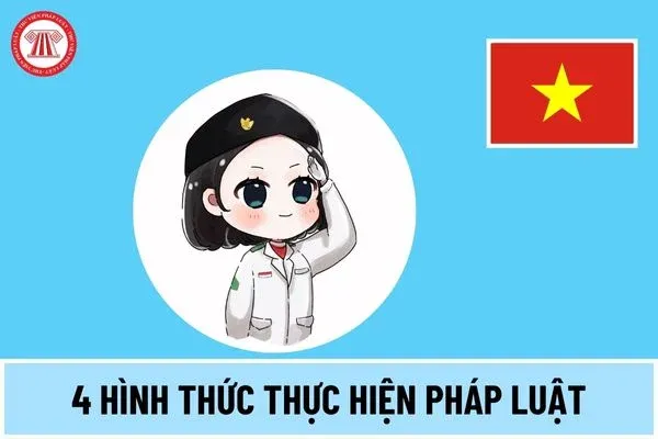 Minh họa các hình thức thực hiện pháp luật
