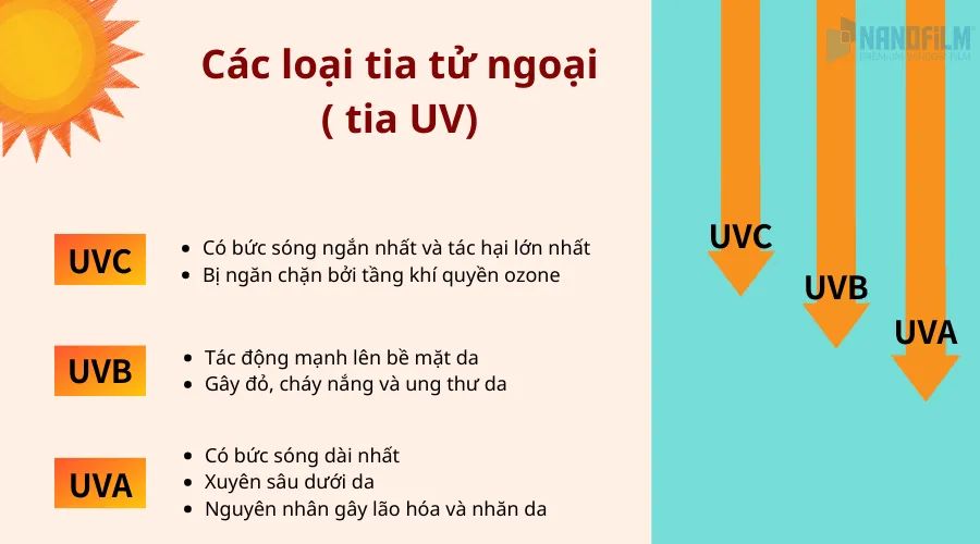 Sơ đồ phân loại tia tử ngoại