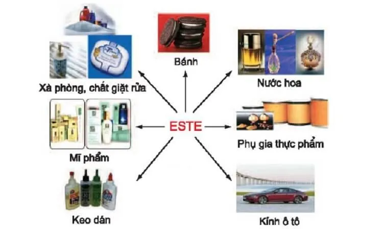 Một số ứng dụng quan trọng của Este trong cuộc sống