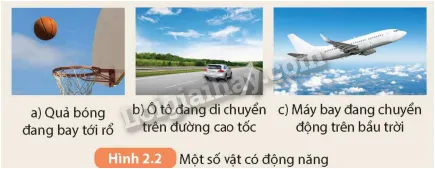 Hình ảnh biểu đồ hoặc sơ đồ thể hiện mối liên hệ giữa các yếu tố sức khỏe, có thể liên quan đến khoáng chất